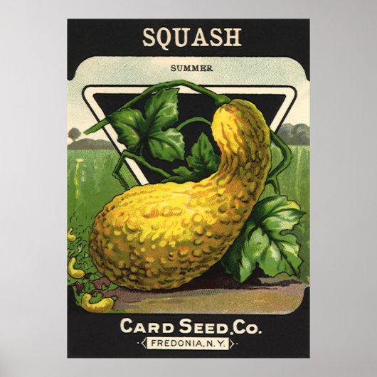 zeeppaketiket Art Yellow Summer Squash Poster (Voorkant)