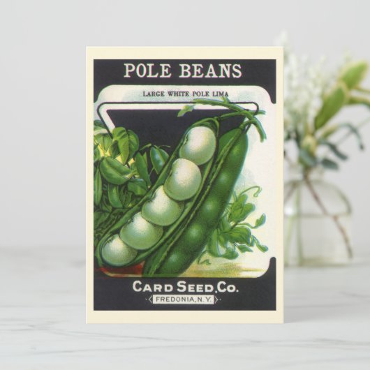  zeeppaketiket Kunst, blikbalbonen (Staand voorkant)