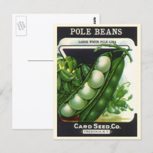  zeeppaketiket Kunst, blikbalbonen Briefkaart