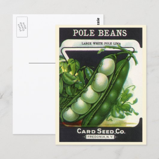 zeeppaketiket Kunst, blikbalbonen Briefkaart (Voorkant / Achterkant)