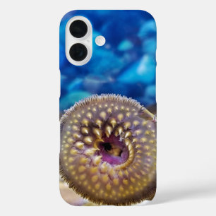 Zeeprik iPhone 16 Hoesje