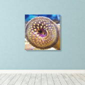 Zeeprikmond Poster Canvas Afdruk (Insitu (Houten vloer))