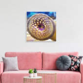 Zeeprikmond Poster Canvas Afdruk (Insitu (Woonkamer))