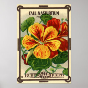  zeepverpakkingslabel kunst, Nasturtium bloemen Poster