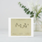 Zeer belangrijk Bord voor Portret van de Koninklij Briefkaart (Staand voorkant)