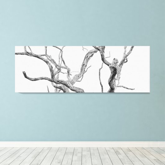 Zeer belangrijke luipaard: Inkanyeni-Vrouw Canvas Afdruk (Insitu (Houten vloer))