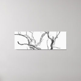 Zeer belangrijke luipaard: Inkanyeni-Vrouw Canvas Afdruk