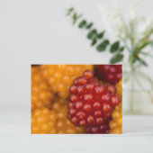 Zeer Berry Briefkaart (Staand voorkant)