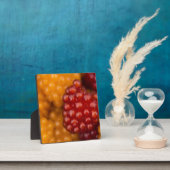 Zeer Berry Fotoplaat (Insitu)