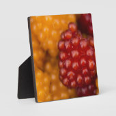 Zeer Berry Fotoplaat (Voorkant)