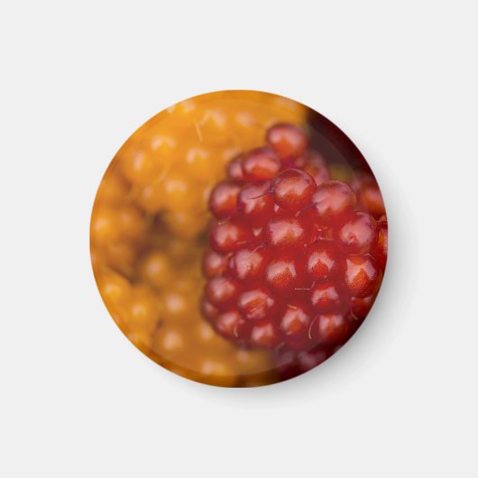 Zeer Berry Magneet (Voorkant)