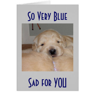 ZEER BLAUW/SAD VOOR U-WELL WISHEN