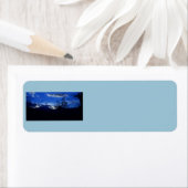 Zeer blauwe Adresetiketten in het Ridge-gebergte Etiket (Insitu)