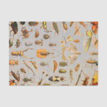 ZEER COOL INSECT-weefselpapier