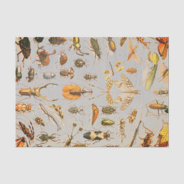 ZEER COOL INSECT-weefselpapier Tissuepapier