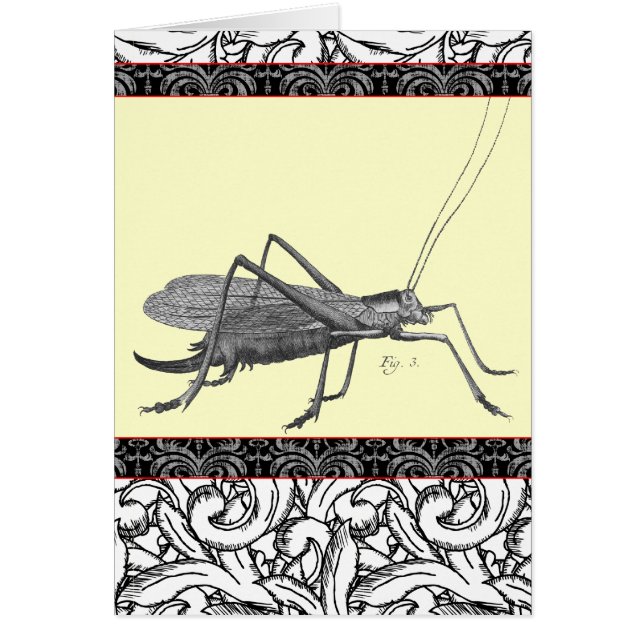 Zeer elegante sprinkhaan van Antiek afdrukken (Voorkant)