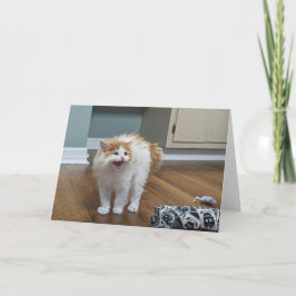 "Zeer eng" - Dewey is helemaal volgelopen Kaart