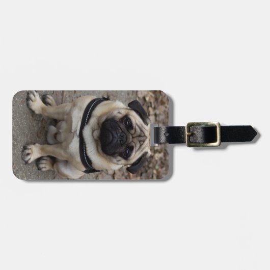 Zeer ernstige pug bagagelabel (Voorkant horizontaal)