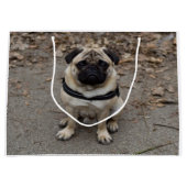 Zeer ernstige pug groot cadeauzakje (Voorkant)
