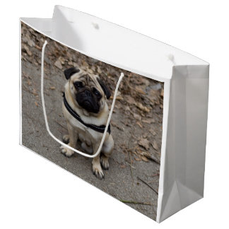 Zeer ernstige pug groot cadeauzakje