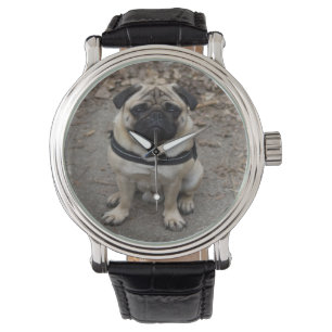 Zeer ernstige pug horloge