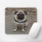 Zeer ernstige pug muismat (Met muis)