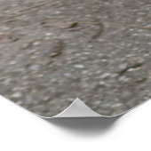 Zeer ernstige pug poster (Hoek)