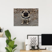 Zeer ernstige pug poster (Thuiskantoor)