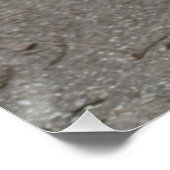 Zeer ernstige pug poster (Hoek)