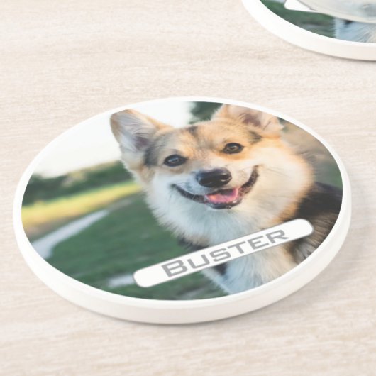 Zeer geliefd huisdiergeheugen zandsteen onderzetter