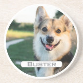 Zeer geliefd huisdiergeheugen zandsteen onderzetter (Voorkant)