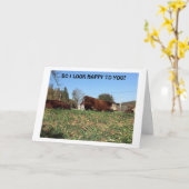 ZEER GEMAAKT "KOE" ZEGT UNHAPPY OMDAT IK "MIST JE" KAART (Gele Bloem)