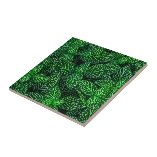 Zeer groen lederen patroon tegeltje (Zijkant)