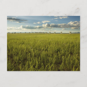 Zeer grote array briefkaart