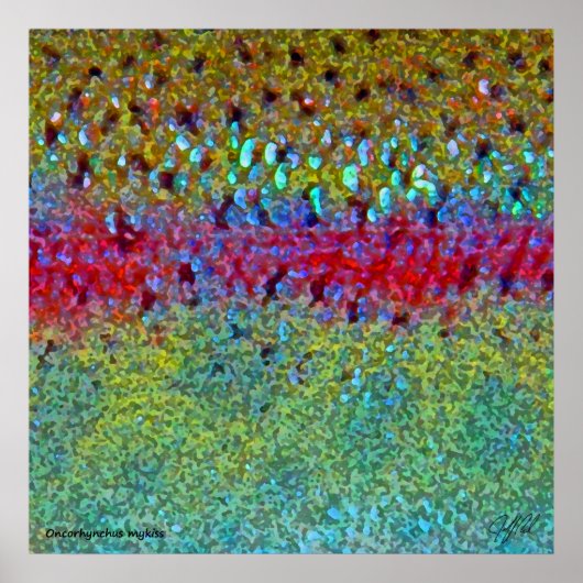 Zeer grote regenboogforel Poster (Voorkant)