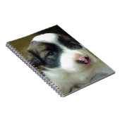 Zeer jonge Puppy look Cute Notitieboek (Rechterzijde)