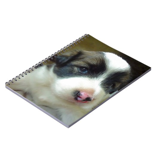 Zeer jonge Puppy look Cute Notitieboek (Linkerzijde)