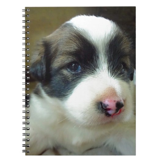 Zeer jonge Puppy look Cute Notitieboek (Voorkant)