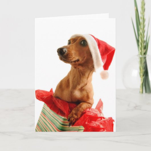 Zeer Kerstmis Doxie Feestdagen Kaart (Voorkant)