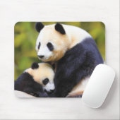 Zeer Knuffelbare Panda Muismat (Met muis)
