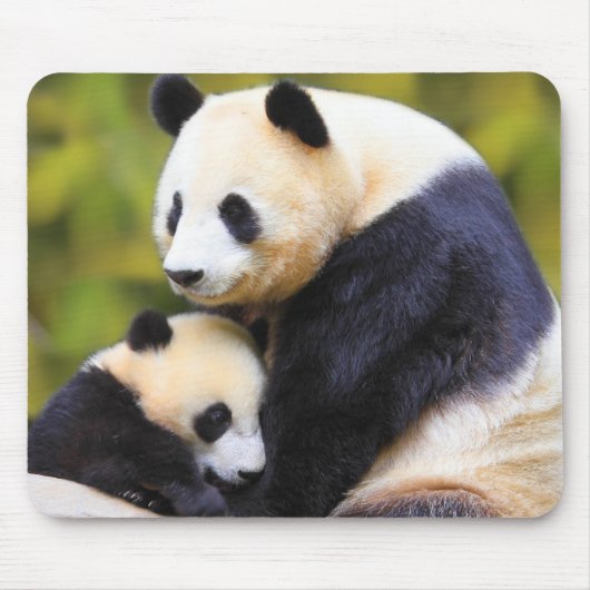 Zeer Knuffelbare Panda Muismat (Voorkant)
