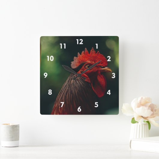 Zeer koele haan klok (Huis)