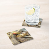 Zeer koele slangen Onderzetter set (Insitu)