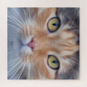 Zeer koude kat Face Jigzaag Puzzle Legpuzzel (Horizontaal)