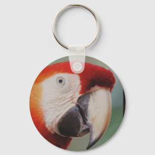 Zeer koude Sleutelhanger
