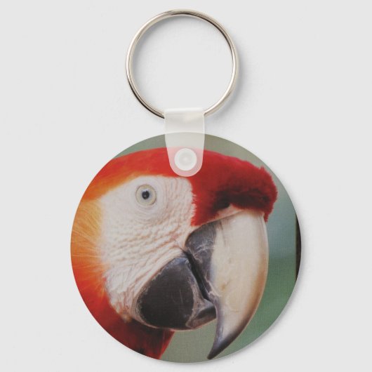 Zeer koude Sleutelhanger (Voorkant)