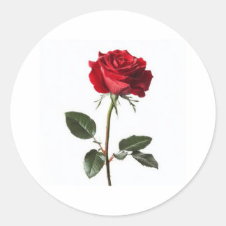 Zeer mooi, 👍 leuk ontwerp ronde sticker