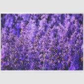 Zeer Paarse Artsy Lavendel Velden Tissuepapier (Voorkant)