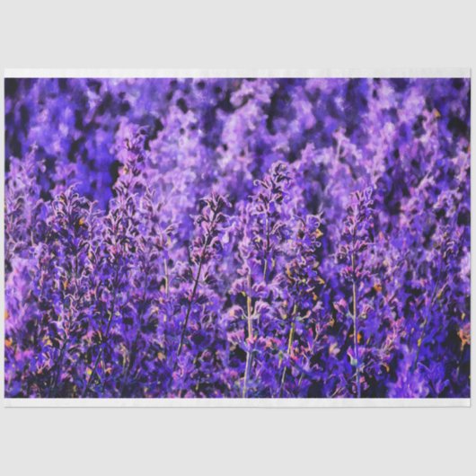 Zeer Paarse Artsy Lavendel Velden Tissuepapier (Voorkant)