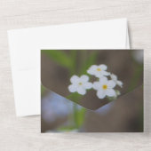 Zeer pensioen partij papier all in one uitnodiging (Achterkant)